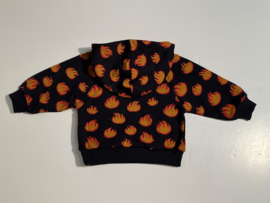 Ammehoela hoodie voor jongen of meisje van 6 / 12 maanden met maat 68 / 74 / 80