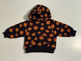 Ammehoela hoodie voor jongen of meisje van 6 / 12 maanden met maat 68 / 74 / 80