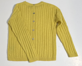 Brian & Nephew trui voor meisje van 14 jaar met maat 164