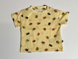 Molo t-shirt voor jongen of meisje van 3 maanden met maat 62