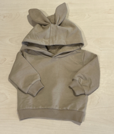 The New Siblings hoodie voor jongen of meisje van 3 maanden met maat 62