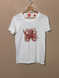 Scotch Shrunk t-shirt voor jongen van 14 jaar met maat 164