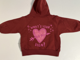 Ammehoela hoodie  voor meisje van 1 / 2 jaar met maat 80 / 86 / 92