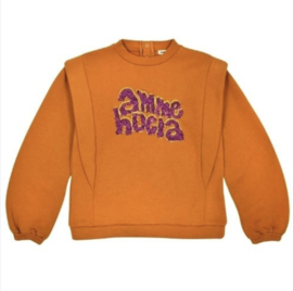 Ammehoela trui voor meisje van 3 / 6 maanden met maat 62 / 68