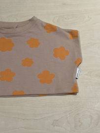 Petit Blush top voor meisje van 2 jaar met maat 92