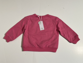 The New truitje voor meisje van 2 jaar met maat 92