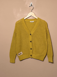 Carlijnq vest voor meisje van 5 / 6 jaar met maat 110 / 116