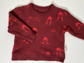 Tiny Cottons trui voor jongen of  meisje van 2 jaar met maat 92