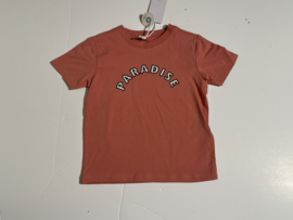 The New Siblings t-shirt voor meisje van  2 jaar met maat 92