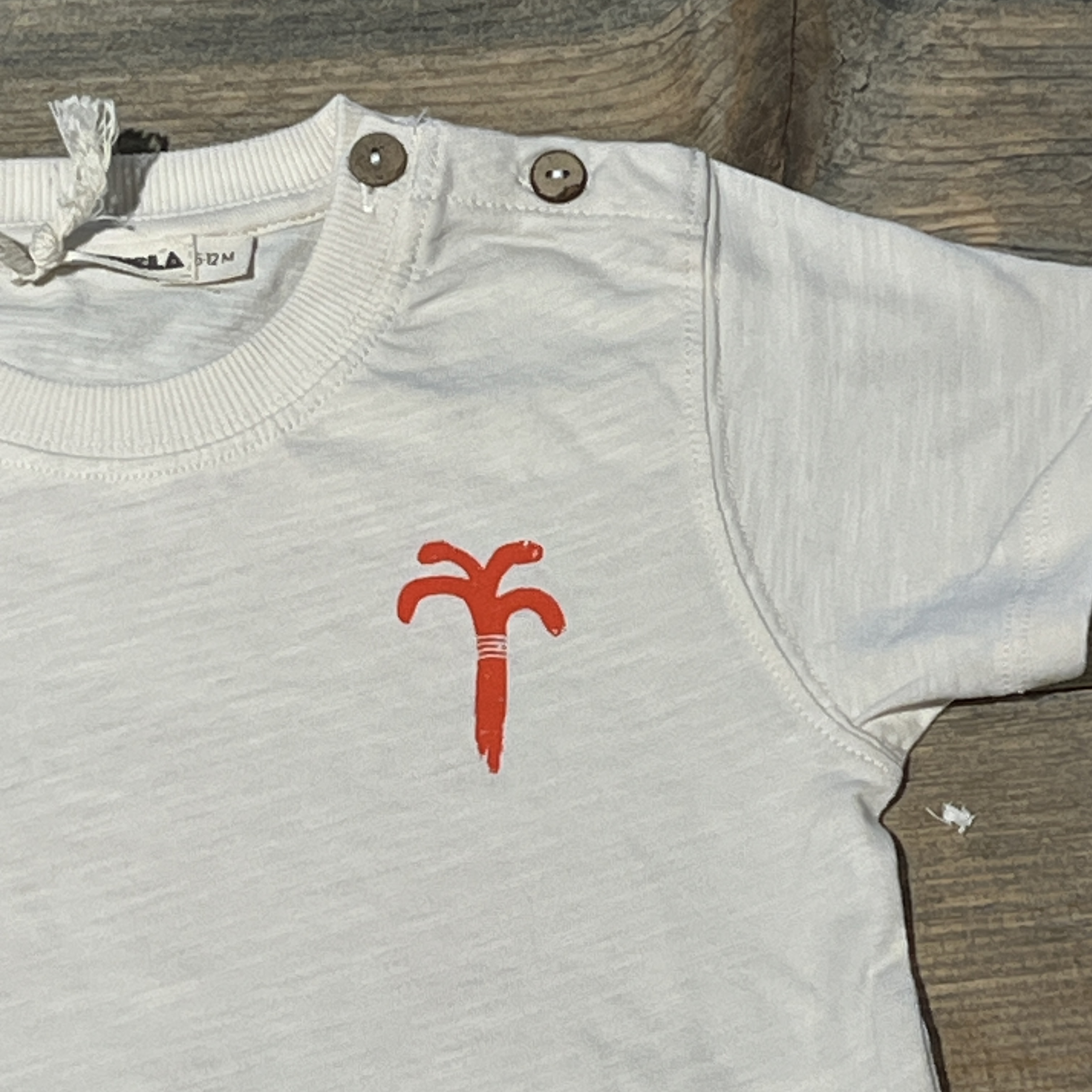 Ammehoela t-shirt voor jongen of meisje van 3 / 6 maanden met maat 62 / 68