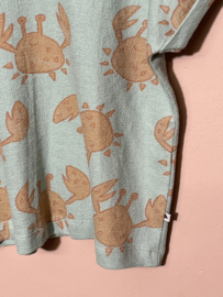 Ammehoela t-shirt voor jongen of meisje van 1 / 2 jaar met maat 86 / 92