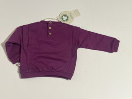 Ammehoela truitje voor meisje van 3 / 6 maanden met maat 62 / 68