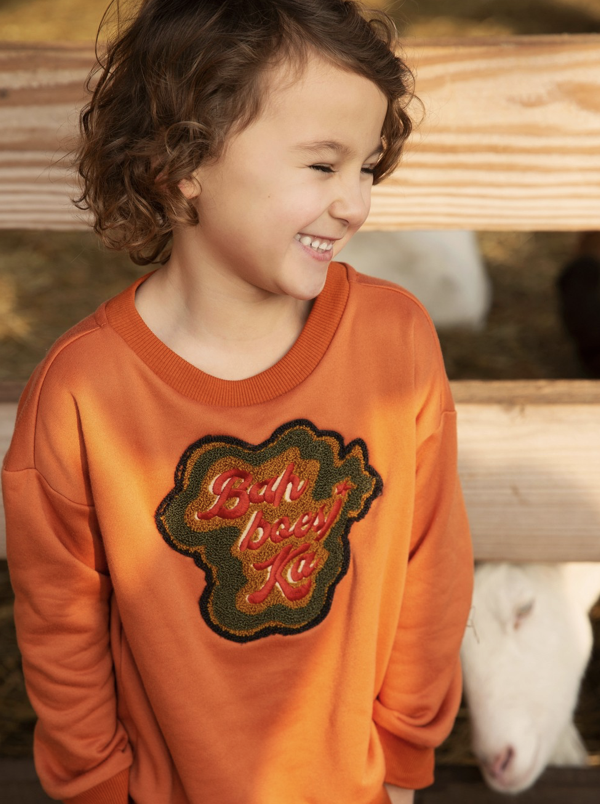 Ammehoela trui voor jongen of meisje van 3 / 4 jaar met maat 98 / 104