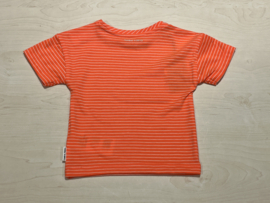 Tumble n Dry t-shirt voor meisje van 6 maanden met maat 68