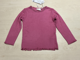 The New Siblings longsleeve voor meisje van  2 jaar met maat 92