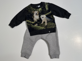 Molo trui voor jongen  van 6 maanden met maat 68