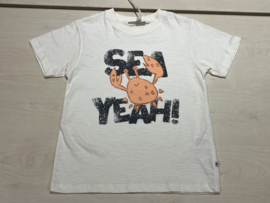 Ammehoela t-shirt voor jongen van 3 / 6 maanden met maat 62 / 68