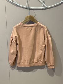 Petit Blush trui voor meisje van 6  jaar met maat 116