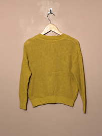 Carlijnq vest voor meisje van 5 / 6 jaar met maat 110 / 116