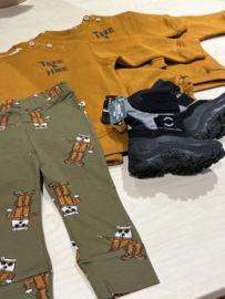 Ammehoela broek voor jongen van 0 / 3 maanden met maat 50 / 62