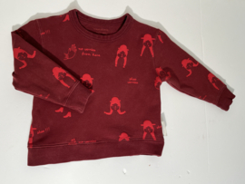 Tiny Cottons trui voor jongen of  meisje van 2 jaar met maat 92