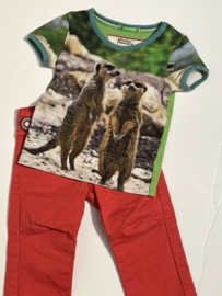 Imps & Elfs broek voor jongen van 9 maanden met maat 74