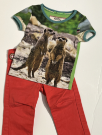 4funky flavours t-shirt voor jongen of meisje  van 9 / 12 maanden met maat 74 / 80