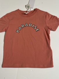 The New Siblings t-shirt voor meisje van  2 jaar met maat 92
