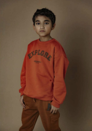 Ammehoela trui voor jongen van 6 / 12 maanden met maat 68 / 74 / 80