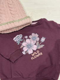 Z8  sweater voor meisje van  12 maanden met maat 80