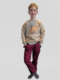 Ammehoela trui  voor jongen van 10 / 12 jaar met maat 140 / 146 / 152