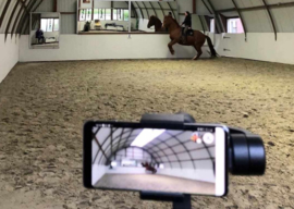 online les in AR, CR en RR 30 min/ 60 min