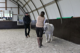 clinic Marius Schneider