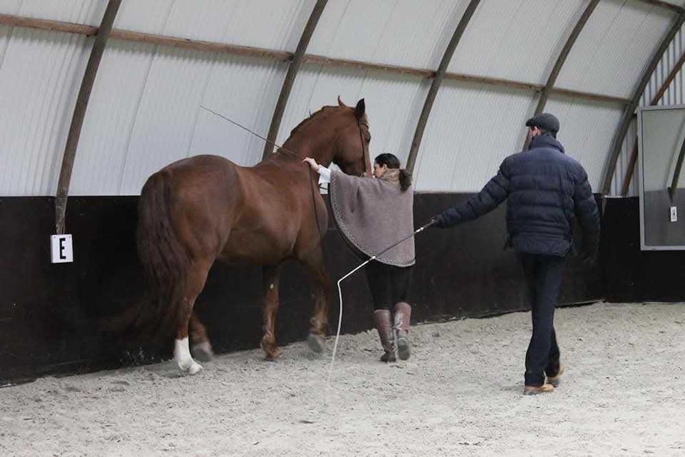 giny les marius