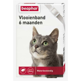 Katten vlooienband wit 6 maanden