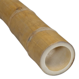 Guadua bamboepaal Ø 7-9 x 100 cm
