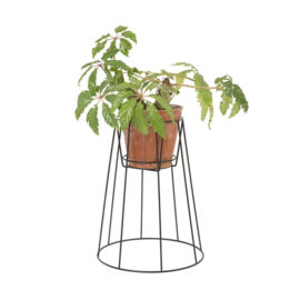 Cibele - Plant Stand - Large Black