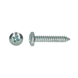 PGB-FASTENERS Zelftappende Schroef Staal 2,9 x 6,5 mm