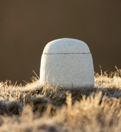 Mycelium urn