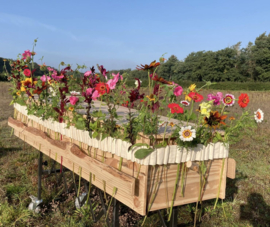 Bloemenband ongebleekt katoen