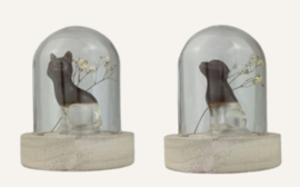 Gedenkpops - Dieren mini stolp