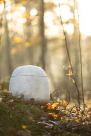 Mycelium urn