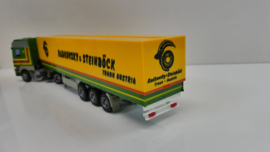 AWM 1:87 H0 vrachtwagen  DAF Radkovsky & Steinböck Traun Austria ovp 54010