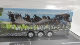 Herpa 1:87 H0  MAN TGX XLL E6c Transporte Müller  ovp 121910