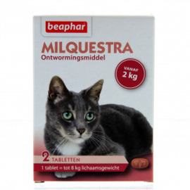 Milquestra Ontworming Kat