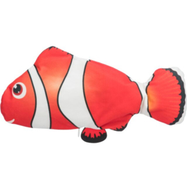 Spartelvis Oranje
