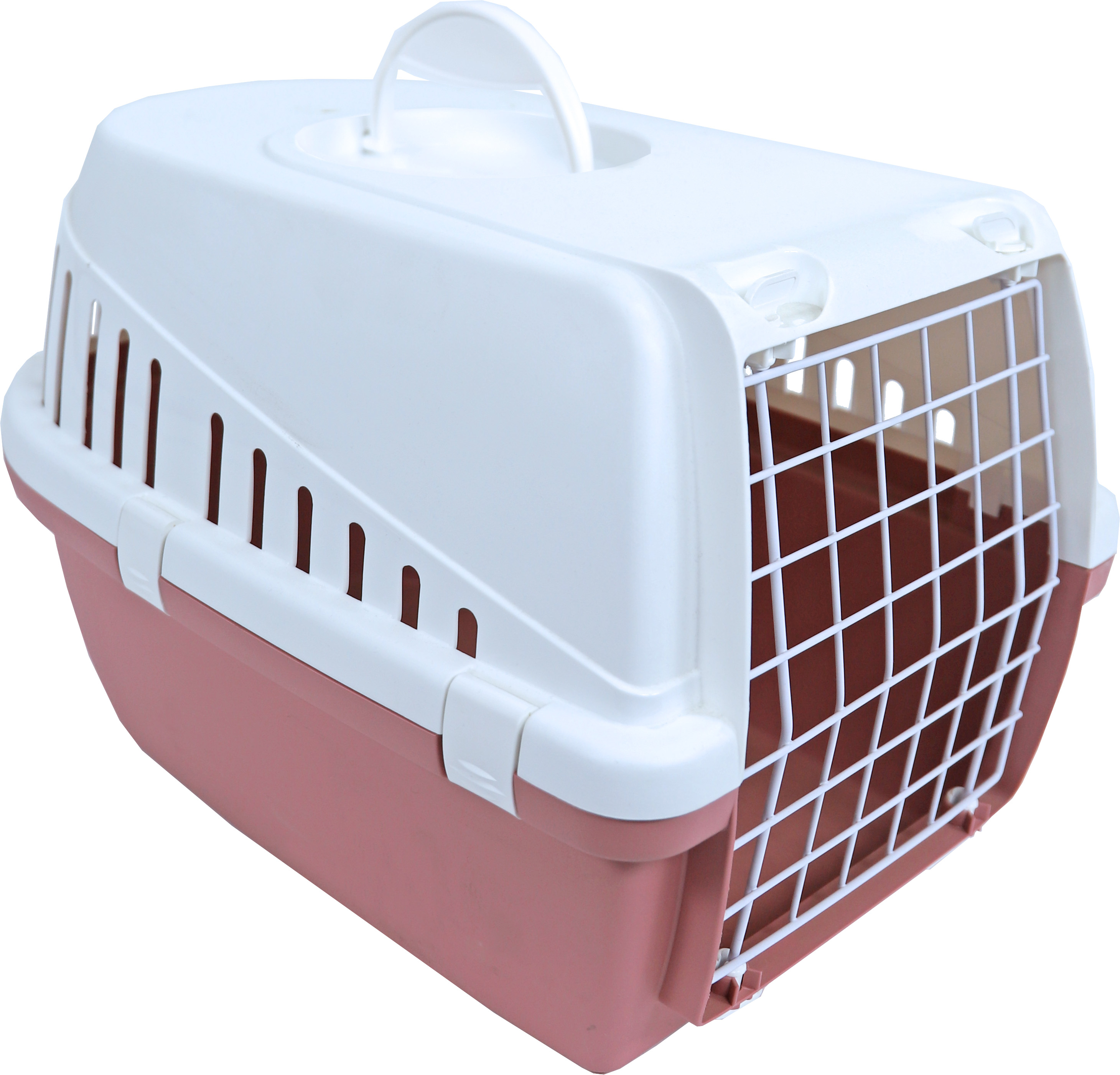 Reismand Trotter Roze