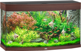 Juwel Aquarium VISION 180 LED