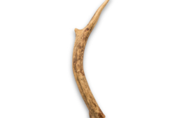 Hertengewei m (76-150g) 1st
