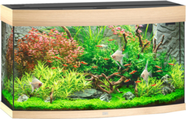 Juwel Aquarium VISION 180 LED